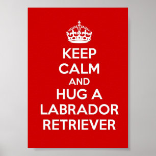 Håll lugn och krama en Labrador Retriever Poster