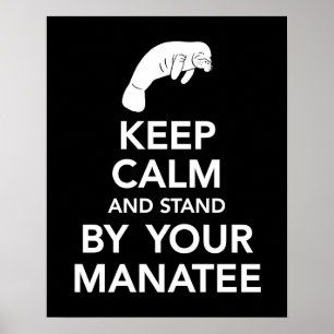 Håll lugn och stå vid ditt Manateetryck Poster