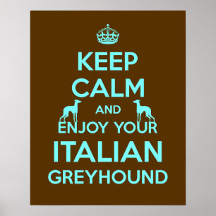 Håll lugn och tyck om din italienska vinthund poster