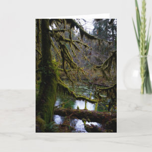 Hall of Mosses Kort