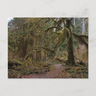 Hall of Mosses Vykort