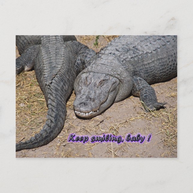 håll på att le, baby! vykort (Framsida)