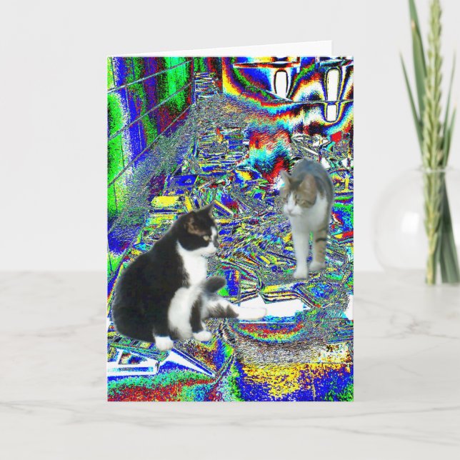 Hall Pass in Fairy Land School Kort (Framsida)