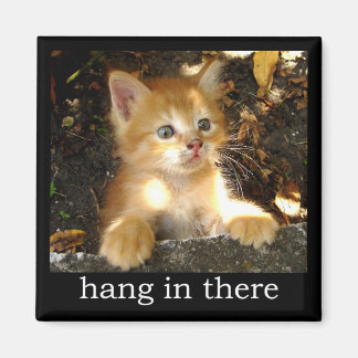 Håll ut där - Kitten Magnet