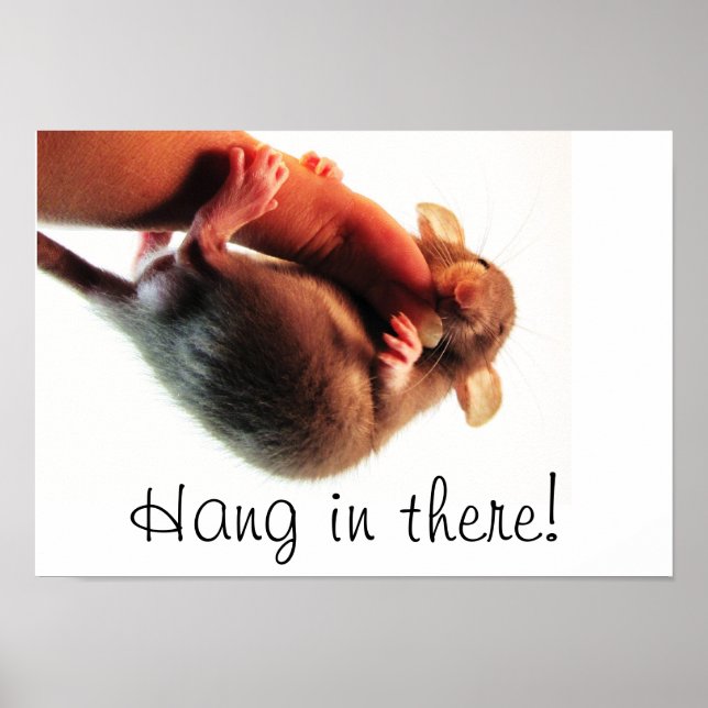 Håll ut där Råtta Poster (Framsidan)