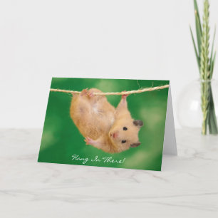 Håll ut! Hamster Kort