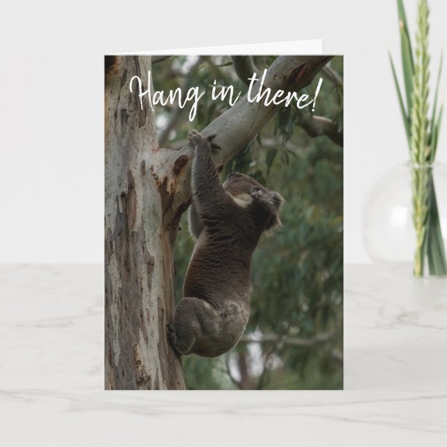 Håll ut! Koala Australia Card Kort (Framsida)