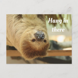 Håll ut, Sloth Vykort