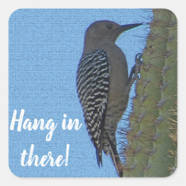 Håll ut Woodpecker Photo Saguaro Cactus Fyrkantigt Klistermärke