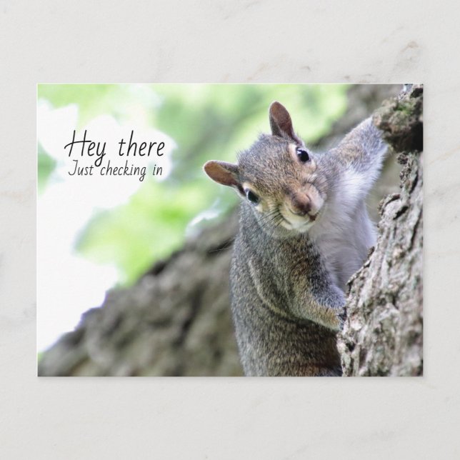 Hallå där, bara en hälsning vykort  (Framsida)