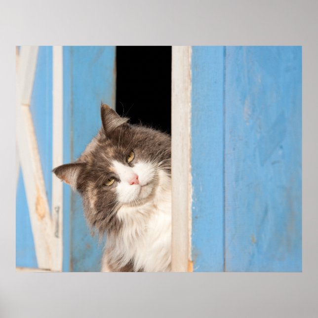 Hallå där! poster (Framsidan)