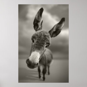 Hallå där poster