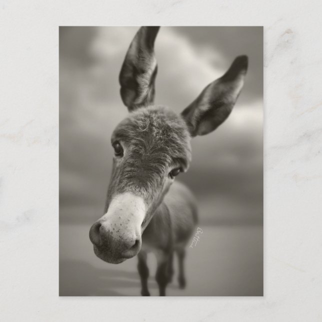 Hallå där vykort (Framsida)