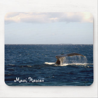 Hålla ögonen på för Maui Hawaii val Musmatta