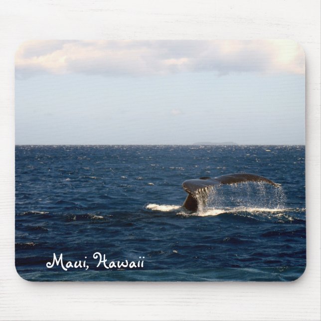 Hålla ögonen på för Maui Hawaii val Musmatta (Framsidan)