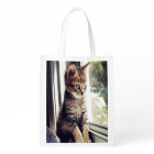 Hålla ögonen på för Tabbykattunge