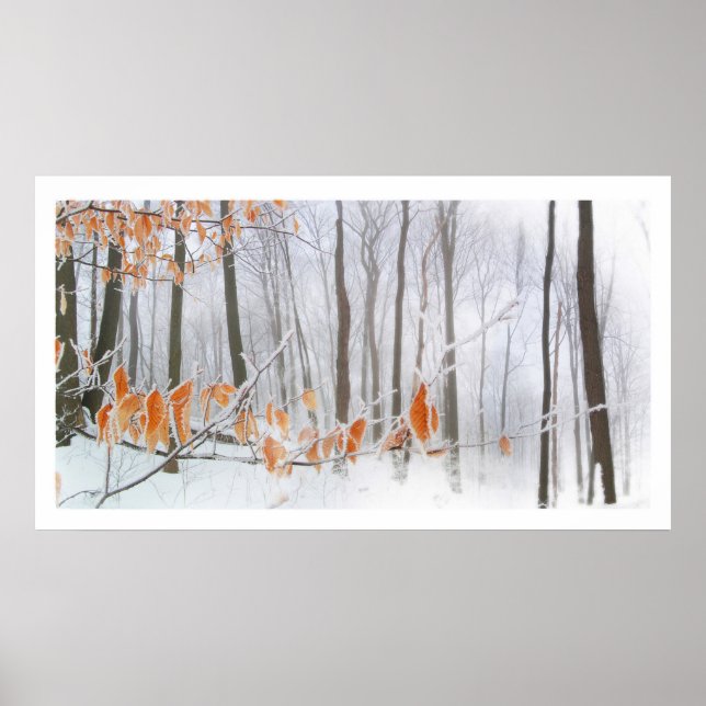 Hålla på, poster (Framsidan)