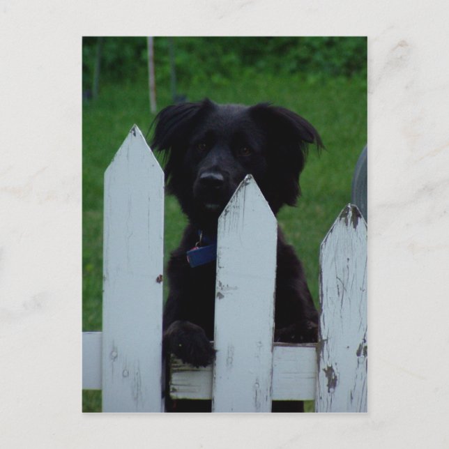 hålla ut öga vykort (Framsida)