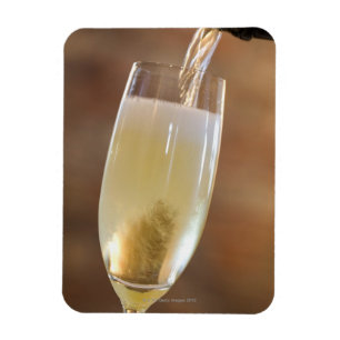 Hällande champagne magnet