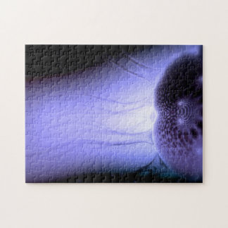 Hållande ögonen på Europa att förbrylla #1 Pussel