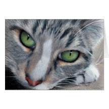 Hållande ögonen på Tabbydragplåster