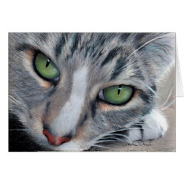 Hållande ögonen på Tabbydragplåster Hälsningskort