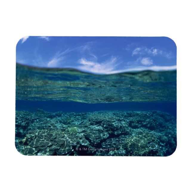 Hållbarhet för korall magnet (Horisontell)