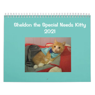 Hållbarhetskalender 2021 kalender