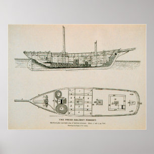 Hälleflundraschooneraffisch Poster