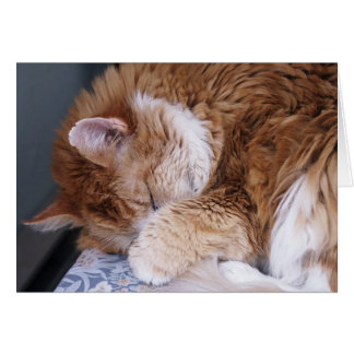 Halleluiahen Hälsningskort