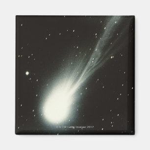 Halleys komet magnet