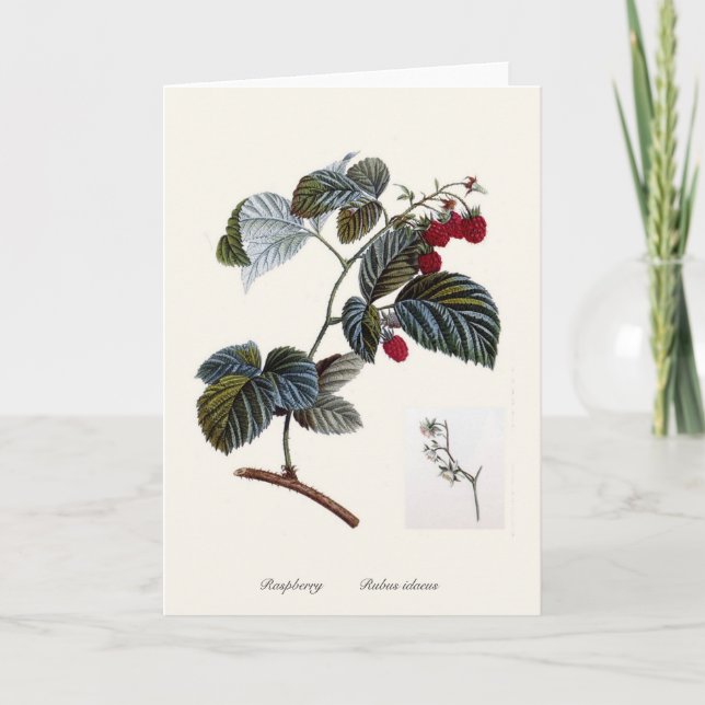 hallon kort (Framsida)