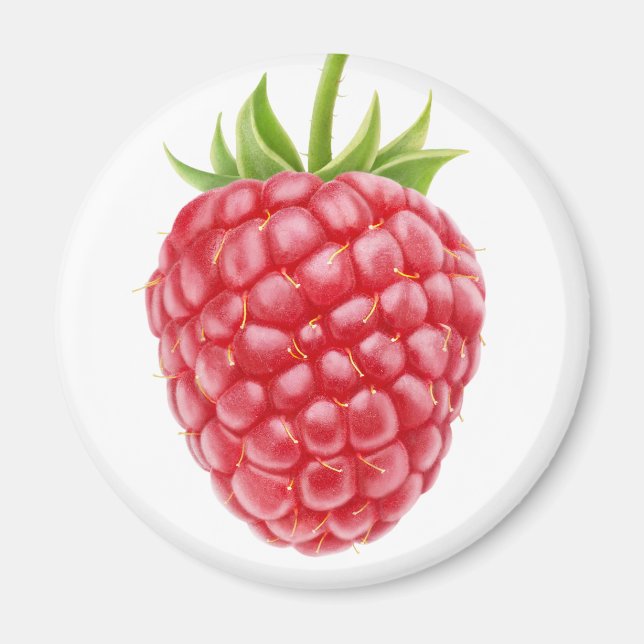 hallon magnet (Framsidan)