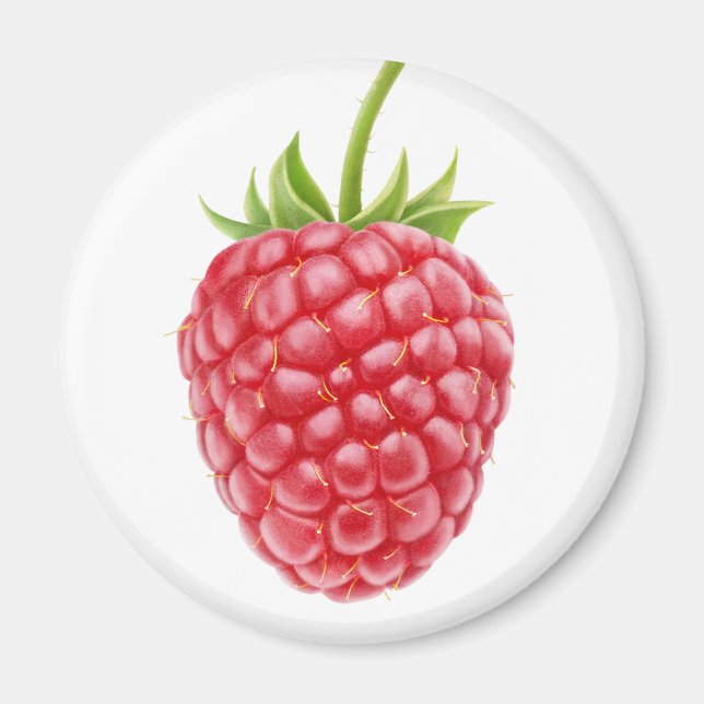 hallon magnet (Framsidan)
