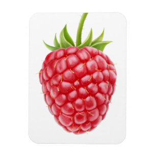 hallon magnet