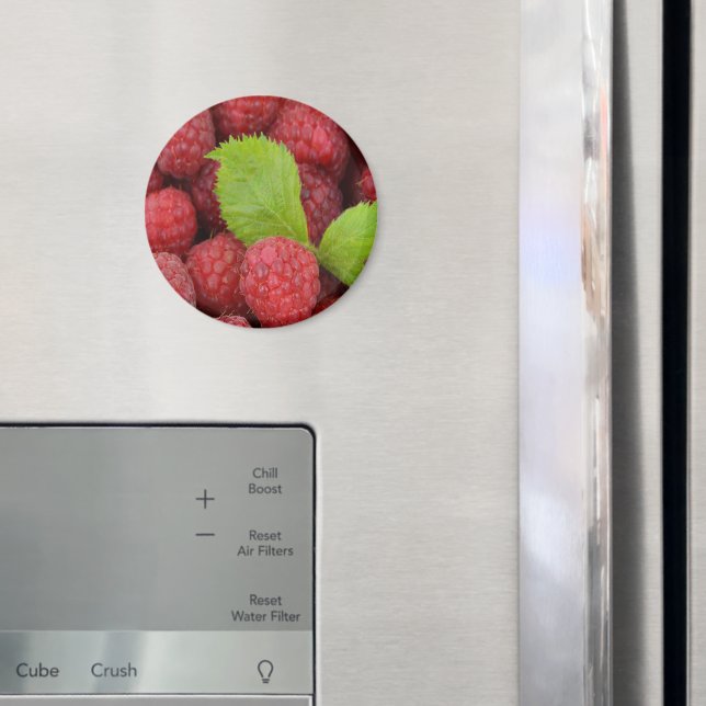 hallon magnet (In Situ (Fridge))
