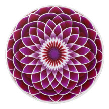 Hallon och Lila Dahlia