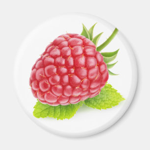 Hallon och mynta magnet
