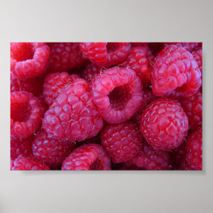 Hallon Poster