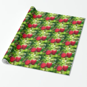 hallon presentpapper