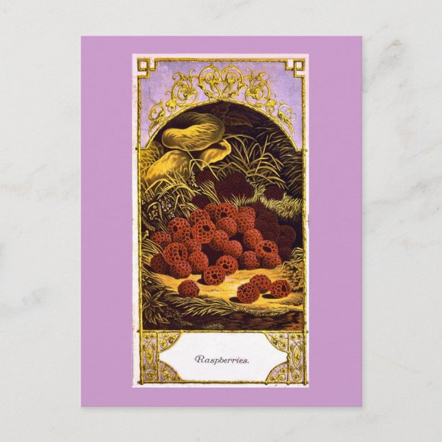 Hallon - Vintage annons 1874 Vykort (Framsida)