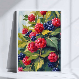 Hallonsnår Vattenfärg Frukt Poster