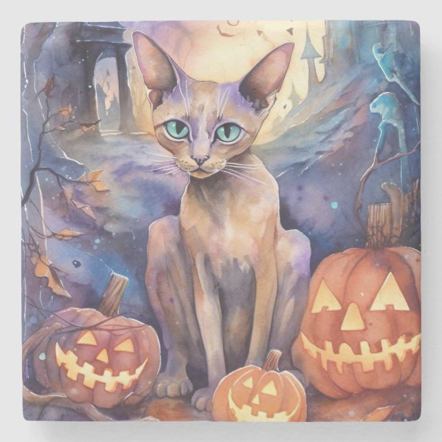 Halloween Abyssinskt katt med Pumpkin Scary Stenunderlägg (Framsidan)