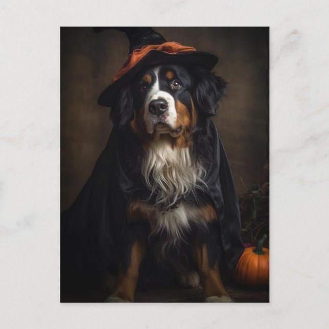 Halloween Adsible Witch Bernese Mountain Hund Vykort (Framsida)