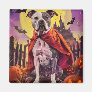 Halloween Amerikansk Staffordshire Pumpa Skräck Magnet
