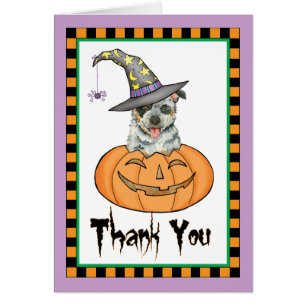 Halloween Australian Cattle Hund Tack OBS Kort