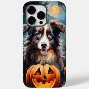 Halloween Australian shepherd med påssjuka