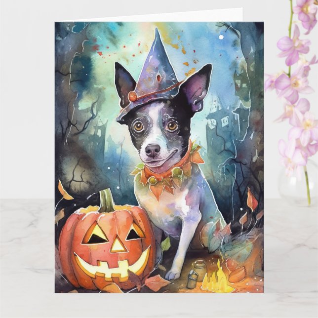 Halloween australisk boskap med pumpor läskig kort (Orkide)