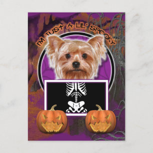 Halloween - Bara en Lil-talesman - Yorkie Vykort