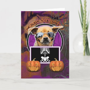 Halloween - Bara ett Lil-tal - Chihuahua Kort